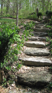 Woodland Garden Staircase